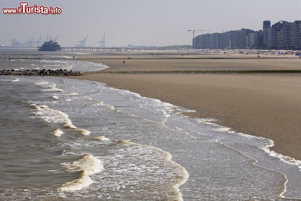 Immagine Panorama della spiaggia a Blankenberge, Belgio. I grandi e alti palazzi che caratterizzano la città fanno da cornice al mare del Nord che con le sue acque lambisce il litorale di questo suggestivo territorio belga.