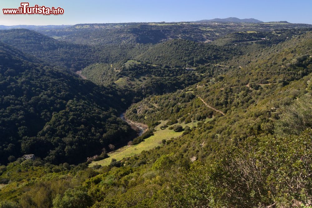 Immagine Panorama della vallata del fiume Araxisi in Sardegna, tra Ruinas e Samugheo