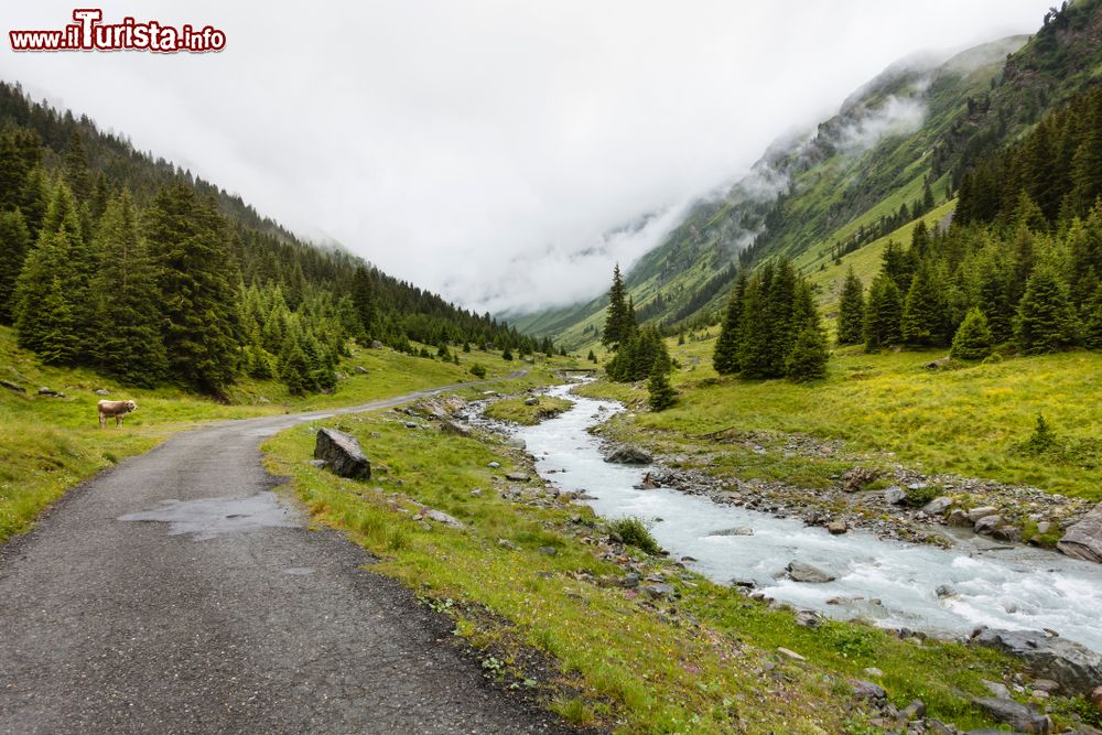 Immagine Panorama della valle Jamtal con il fiume Jambach in una giornata di pioggia: siamo nei pressi di Galtur in Tirolo (Austria).