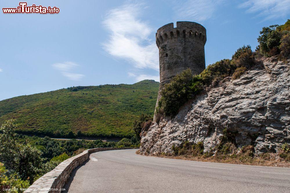 Immagine Panorama dell'antica Torre dell'Osse, Cagnano (Corsica). E' una delle 85 torri presenti in Corsica, utilizzate come rete di controllo e presidiate da uomini scelti fra gli abitanti del luogo - © Naeblys / Shutterstock.com