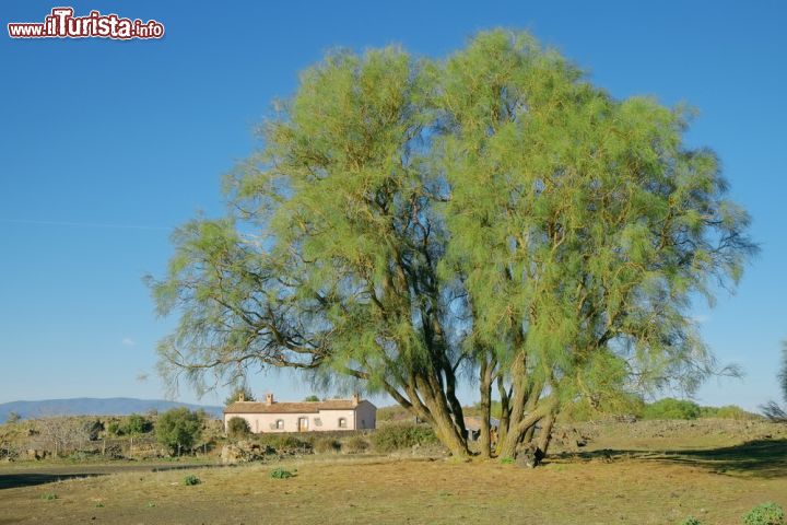 Immagine Panorama delle campagne di Bronte, provincia di Catania, a nord-ovest dell'Etna