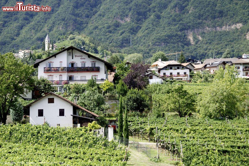 Le foto di cosa vedere e visitare a Termeno sulla Strada del Vino