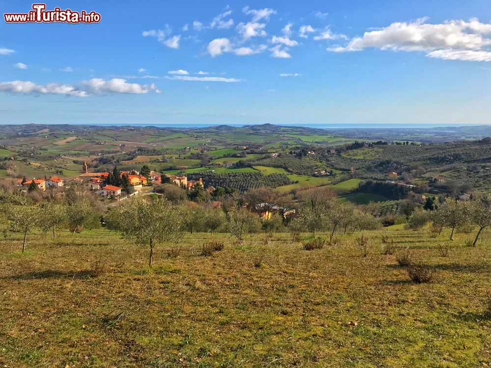 Immagine Panorama delle colline di Cartoceto, in lontananza il mare Adriatico