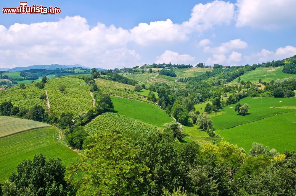 Immagine Panorama delle colline di Torrechiara in Emilia-Romagna