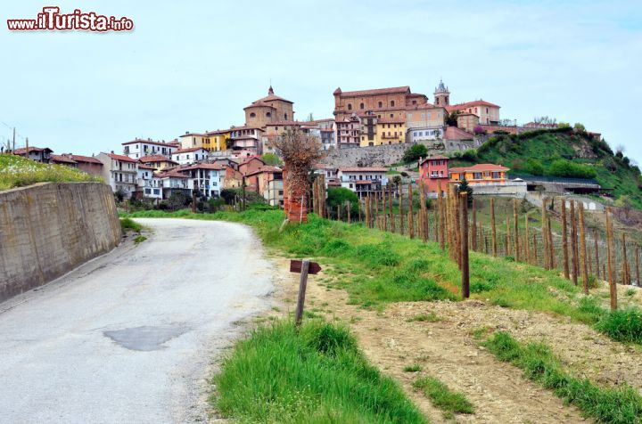 Immagine Panorama delle colline e del centro abitato di La Morra, Cuneo, Piemonte. Adagiato sui dolci declivi di questo territorio della provincia di Cuneo, La Morra è luogo di vacanza e di svago