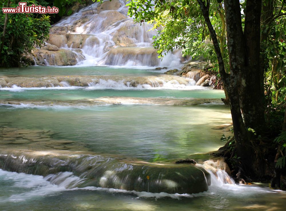 Immagine Panorama delle Dunn's River Falls, Giamaica. Queste cascate, visitate da migliaia di persone ogni anno, hanno un salto complessivo di circa 200 metri e possono essere risalite a piedi dai turisti.