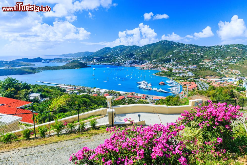 Immagine Panorama dell'isola di St.Thomas, Caraibi (USA): ex colonia danese, è famosa per le caratteristiche da tipica isola esotica ma anche per essere stata un tempo rifugio per pirati.