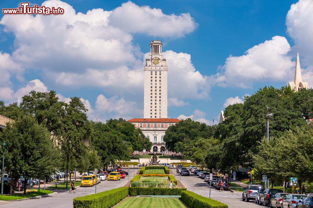 Immagine Panorama dell'Università del Texas con i viali alberati, Austin (USA).