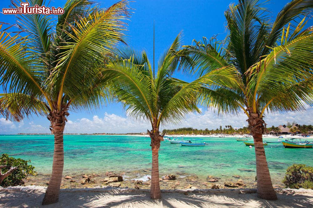 Immagine Panorama di Akumal con le palme sulla spiaggia e il mare dei Caraibi sullo sfondo, Messico.