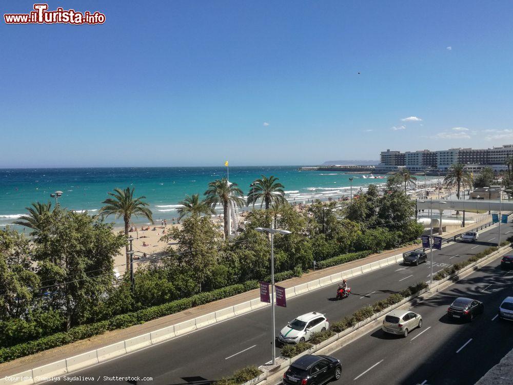 Immagine Panorama di Alicante con la spiaggia e il lungomare, Comunità Valenciana, Spagna. Questa bella località situata lungo la Costa Blanca è famosa per i suoi bouleverd con palme che fanno da cornice alle strade e ai negozi - © Shamsiya Saydalieva / Shutterstock.com