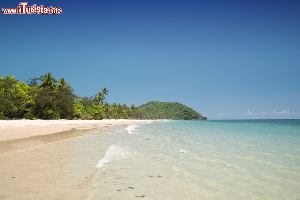 Immagine Panorama di Cape Tribulation, Daintree National Park, Australia. Approdare in questo angolo del Queensland è come fare un viaggio nel tempo ritorvandosi in una natura incontaminata con spiagge bianche lunghissime e acque trasparenti con coralli.