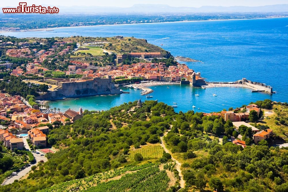 Immagine Panorama di Collioure, cittadina costiera della Linguadoca-Rossiglione nel sud della Francia.