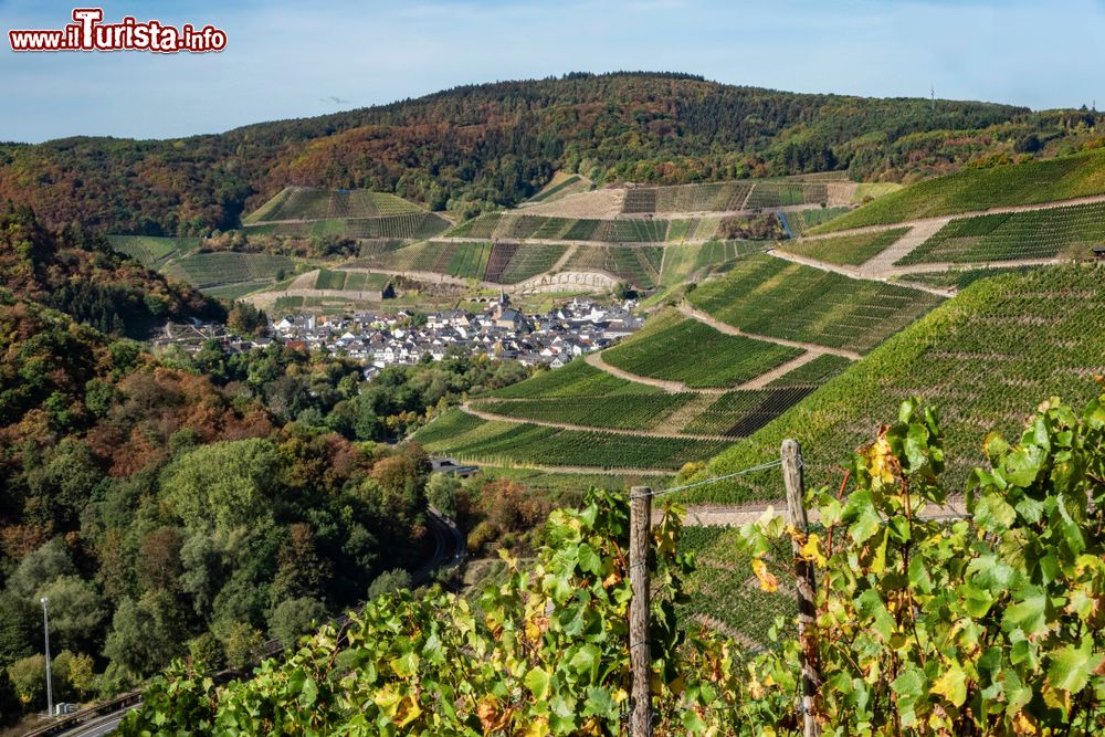 Immagine Panorama di Dernau, Renania-Palatinato, Germania. Si tratta di un noto villaggio vinicolo lungo il fiume Ahr circondato da pendii coltivati a vigneti.