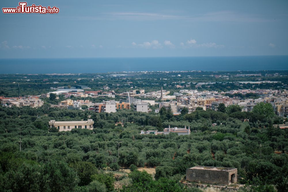 Immagine Il panorama di Fasano fotografato dalle Murge vicino allo Zoosafari