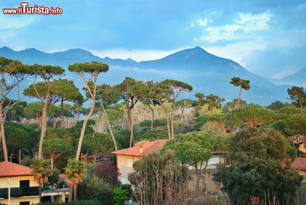 Immagine Panorama di Forte dei Marmi (Toscana) sino alle montagne di Carrara in una sera d'estate.