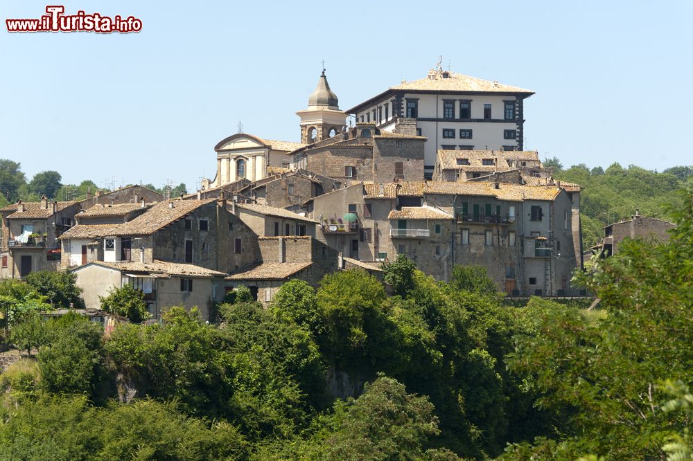 Le foto di cosa vedere e visitare a Gradoli