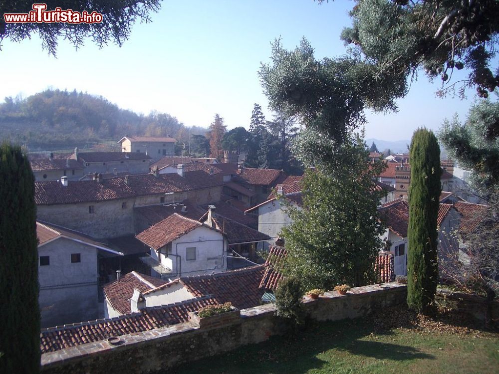 Immagine Panorama di Moncrivello fotografato dal Castello. La cittadina è famosa per la sua sagra del Mirtillo
