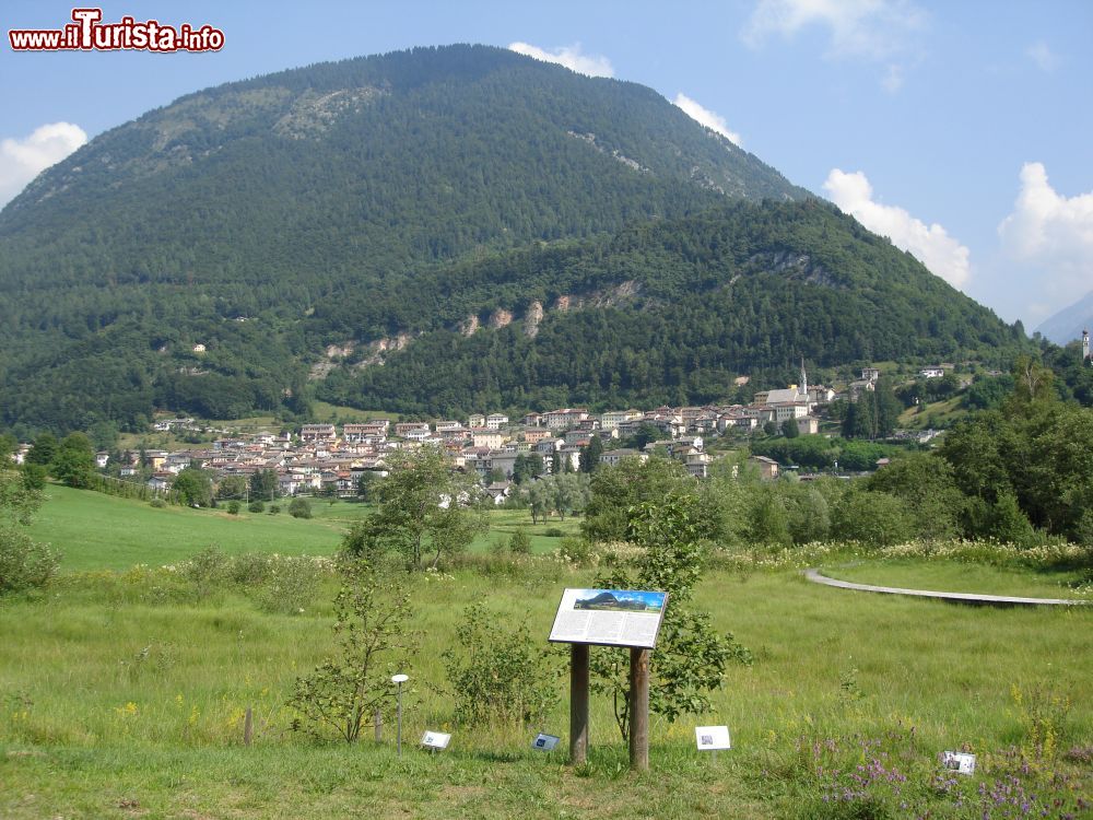 Immagine Pieve Tesino Foto Sergio Santuari  - Archivio APT Valsugana