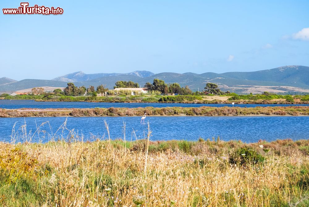 Immagine Panorama di Porto Botte, la laguna costiera della Sardegna