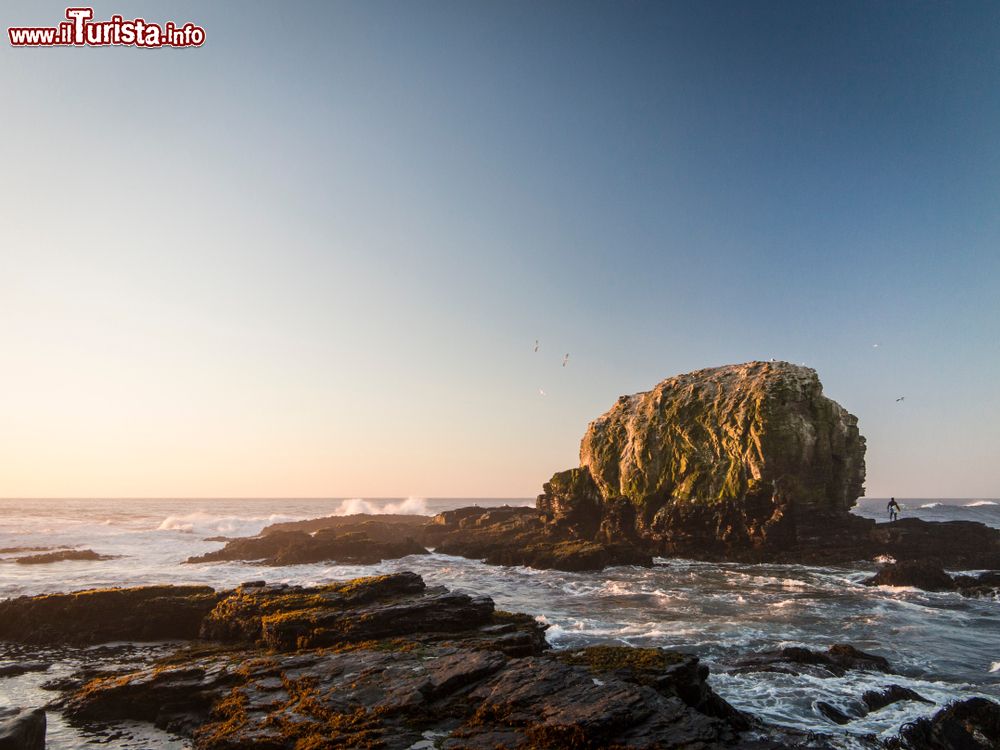 Immagine Panorama di Punta de Lobos, Cile, con il tramonto e un surfista pronto a tuffarsi in acqua.