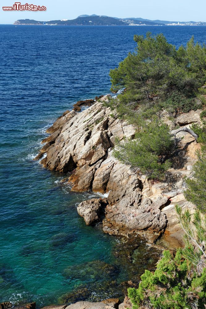 Immagine Panorama di un tratto di costa nel borgo marinaro di Le Pradet, Costa Azzurra (Francia).