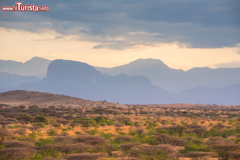Immagine Panorama di una pianura di arbusti nel deserto di Kaisut, Marsabit, Kenya: sullo sfondo le montagne.