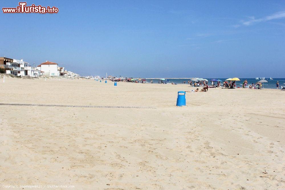 Immagine Panorama di una spiaggia di sabbia a Oliva (Spagna) con persone in relax - © ingehogenbijl / Shutterstock.com