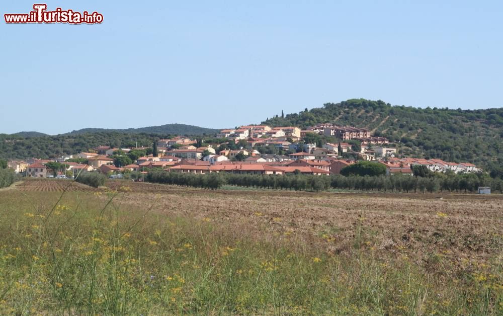 Immagine Panorama di Vignale Riotorto, Frazione di Piombino in Toscana - © Prof.Quatermass, Pubblico dominio, Wikipedia