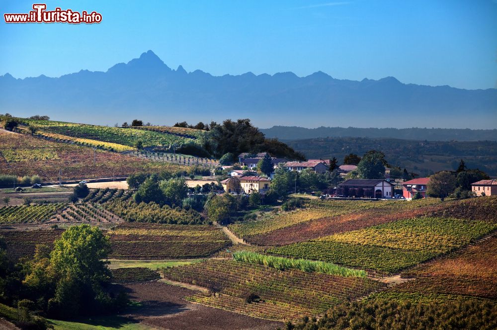 Immagine Panorama estivo delle campagne di Costiglile d'Asti: sullo sfondo il Monviso la montagna dove nasce il fiume Po