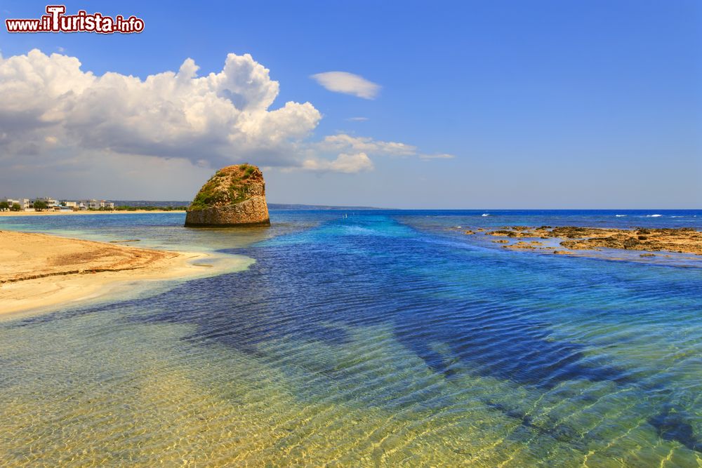 Immagine Panorama estivo di una spiaggia di Torre Pali, Salento, Puglia. La bassa costa sabbiosa è caratterizzata da dunette coperte di macchia mediterranea.