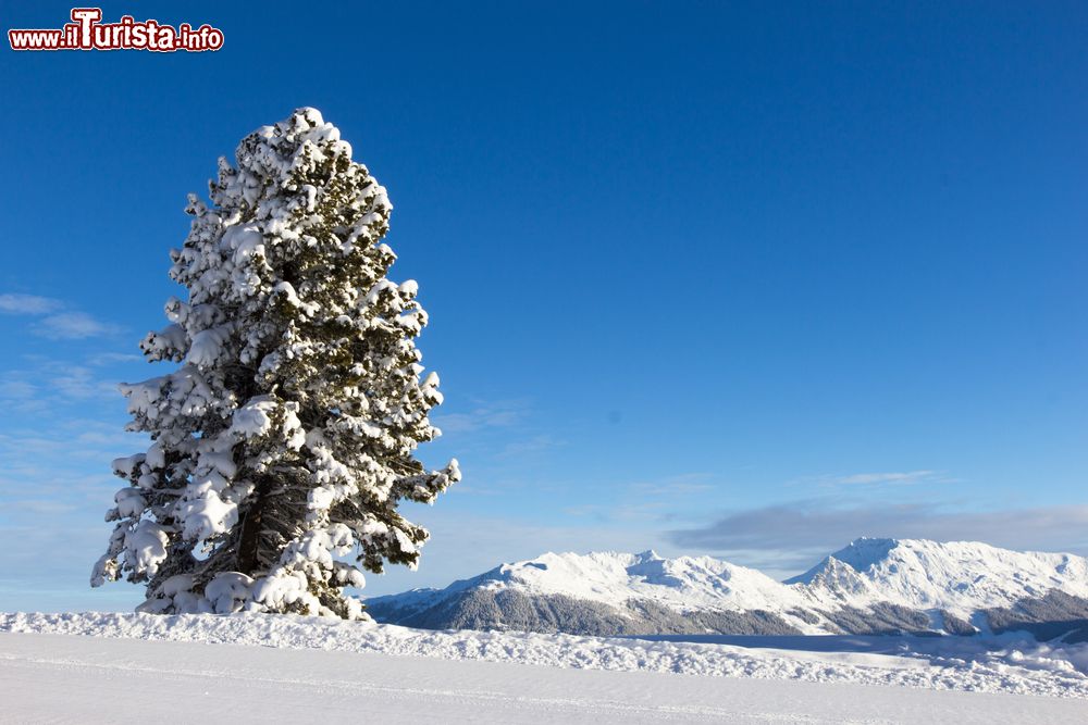 Immagine Panorama invernale a Kaltenbach nella valle Zillertal, Austria.