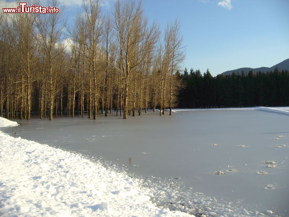 Immagine Panorama invernale del lago di Laceno, provincia di Avellino, Campania. Il terremoto dell'Irpinia avvenuto nel 1980 ha ridotto progressivamente la superficie di questo bacino a causa di falle createsi nel sottosuolo.