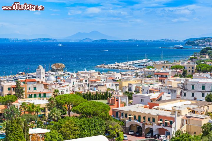 Immagine Il panorama di Lacco Ameno, la vista spazia fino alle coste della Campania ed al profilo dl monte Vesuvio più lontano