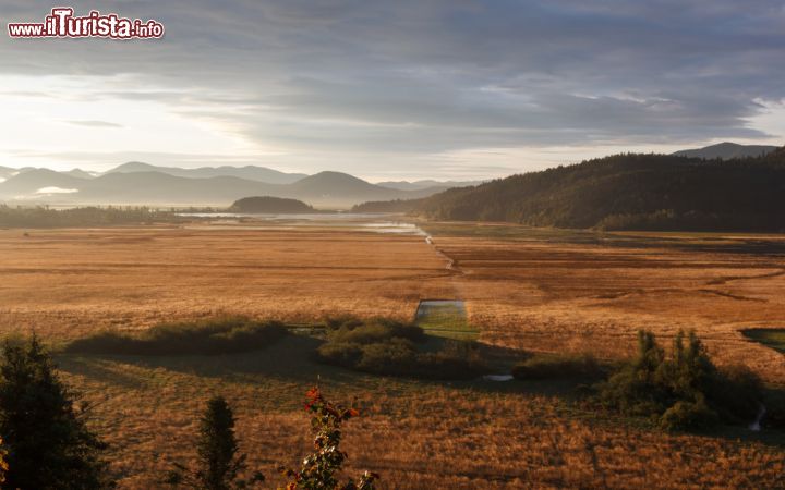 Immagine Panorama autunnale sul lago Circonio, Slovenia - Anche con i colori dell'autunno il lago Circonio è una delle curiosità mondiali del Carso sloveno. E' formato da alcuni corsi d'acqua carsici immissari fra cui il torrente Circonio mentre non possiede emissari. Le stesse caratteristiche che contraddistinguono questo specchio d'acqua sloveno vi sono anche nel lago italiano Doberdò, in provincia di Gorizia. Circonio è una preziosa riserva naturale per molte specie animali in particolar modo per la nidificazione di numerosi uccelli © FotoIvanKebe / Shutterstock.com