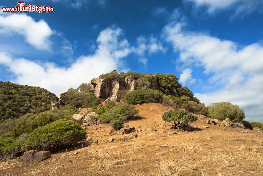 Immagine Panorama nei pressi del monte Arci a Masullas, Sardegna, in una giornata di sole. Situato nell'antica regione della Marmilla, Masullas, in provincia di Oristano, è uno dei paesi che gravitano alle falde del monte Arci.