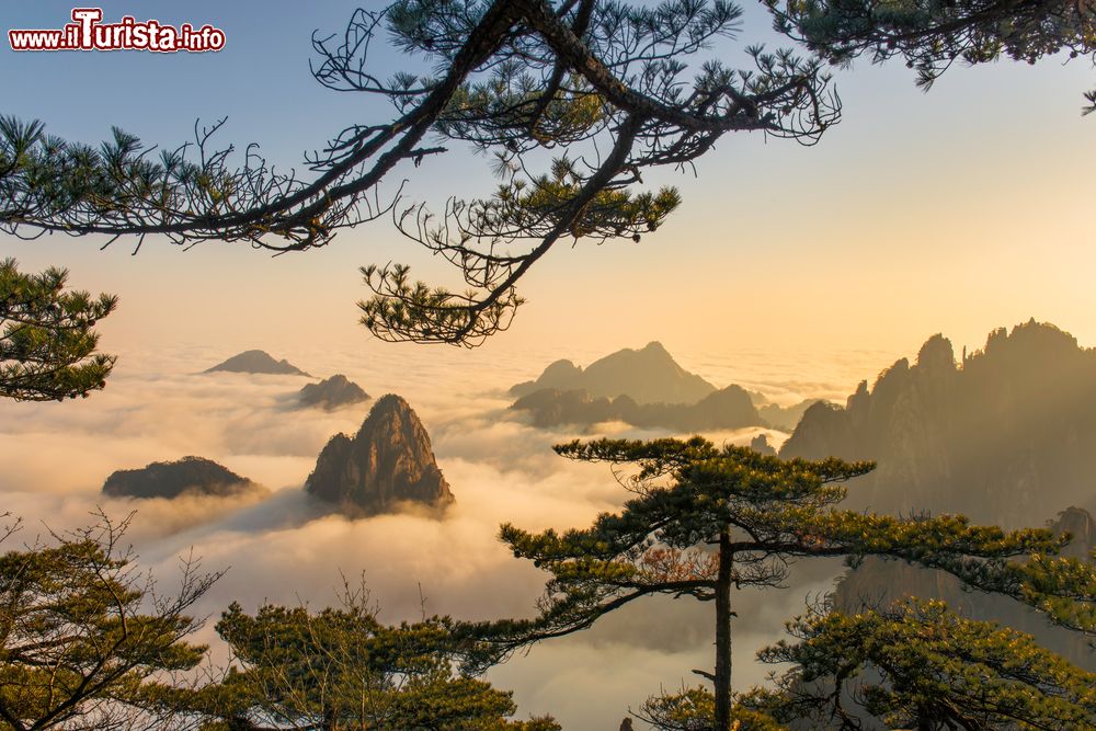 Immagine Panorama sopra le nuvole nei monti Huangshan, regione di Anhui, Cina.