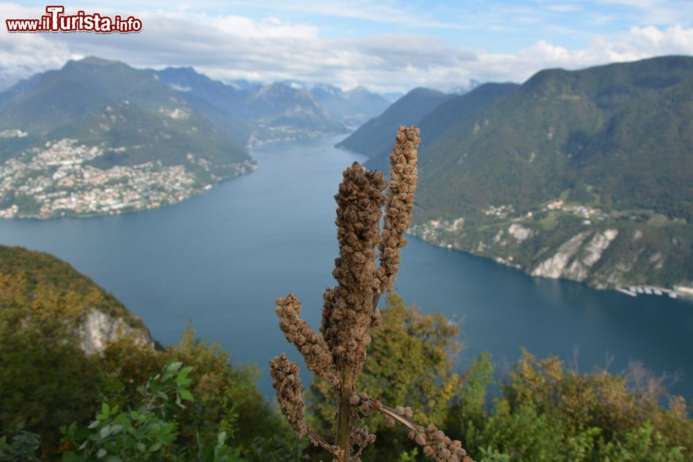 Immagine Panorama su Lugano e sul lago da Monte San Salvatore, Svizzera. Dalla sua cima si gode un pittoresco paesaggio sulla città e sul lago. Il tetto della chiesa e il terrazzino Capodoro sono un belvedere che offre una panoramica a 360°.