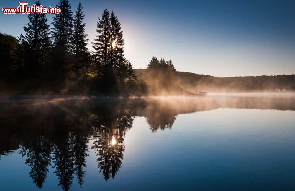 Immagine Panorama sul lago Spruce Knob nella foresta nazionale Monongahela, West Virginia. La luce del sole filtra fra gli alberi all'ora del crepuscolo.