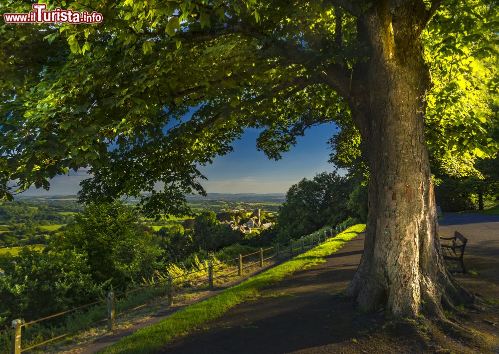 Immagine Panorama sulla Gold Hill in una mattina di fine estate, Dorset, Inghilterra. Una suggestiva immagine scattata da dietro le fronde di un albero: in basso si intravedono città e chiesa.