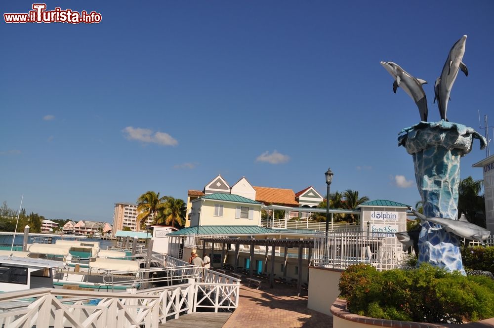 Immagine Panorama sulla marina e sulle case a Port Lucaya, Freeport, Grand Bahama Island.Questo quartiere deve il suo nome agli abitanti precolombiani dei Lucayan.