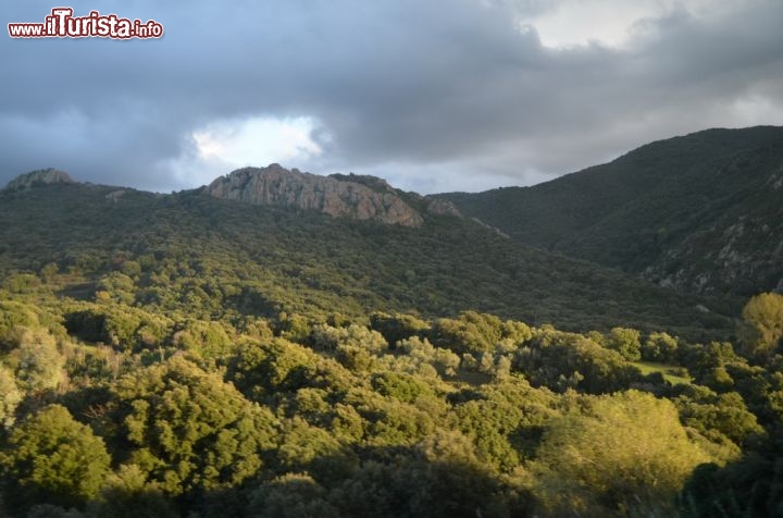 Immagine Panorama sulla strada da Ajaccio al comune di Bocognano