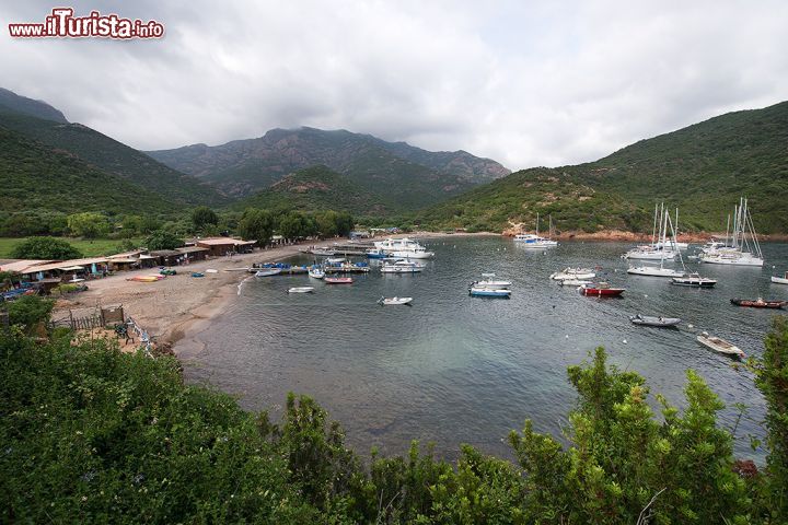 Immagine Panoramica della Baia di Girolata, Corsica - questa splendida baia, oltre ad una natura maestosa e ricchissima di fauna e vegetazione, possiede una storia a dir poco affascinante. Proprio qui infatti, fu catturato il celebre pirata Dragut da una flotta di genovesi, la cui presenza rimase indelebile sul luogo a causa della grande e imponente torre di vedetta che vi costruirono in epoca rinascimentale. 