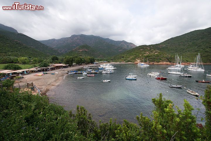 Le foto di cosa vedere e visitare a Girolata