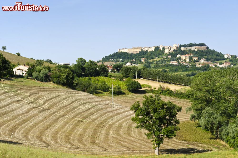 Immagine Panoramica delle campagne e del borgo di Camerino, provincia di Macerata