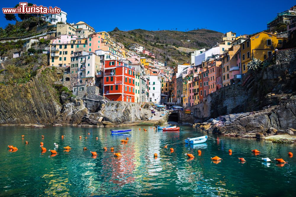 Immagine Panorma dal mare di Riomaggiore nelle Cinqueterre, Liguria