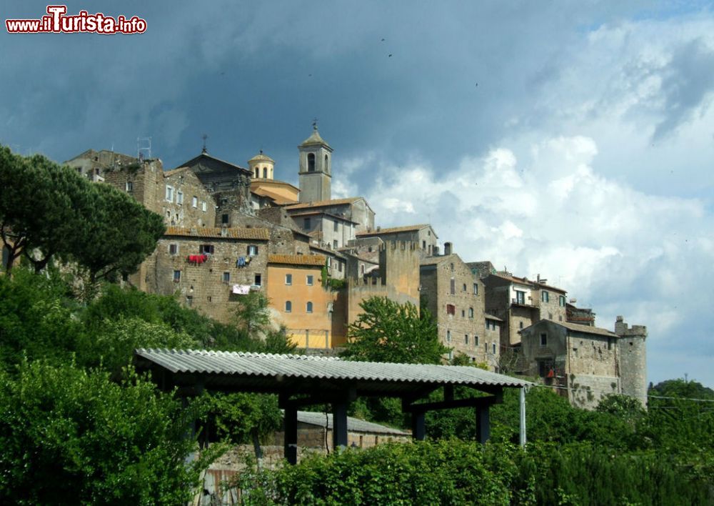 Immagine Panorma del borgo di Vetralla nel Lazio - © Mattana, Pubblico dominio, Wikipedia