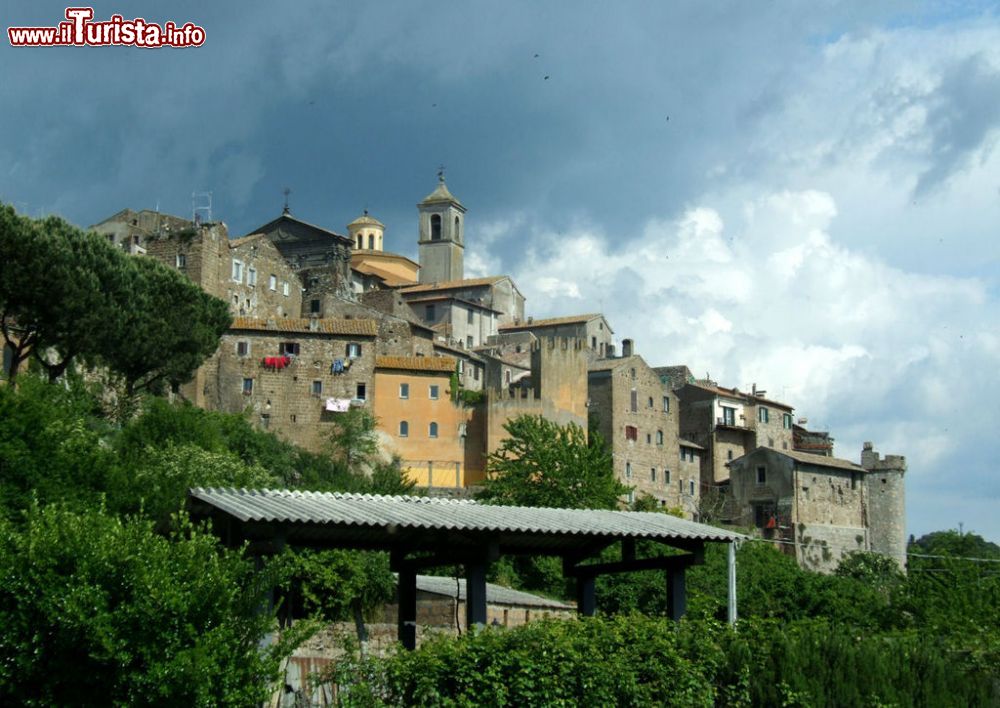 Le foto di cosa vedere e visitare a Vetralla