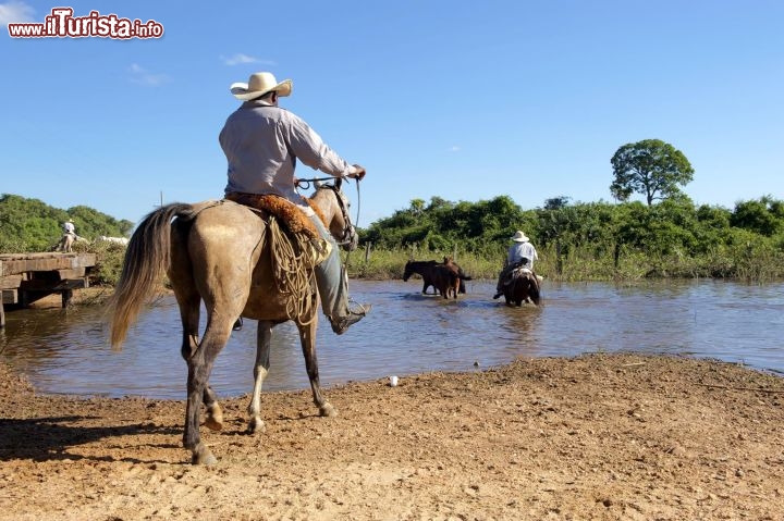 Immagine Pantanal a cavallo Brasile