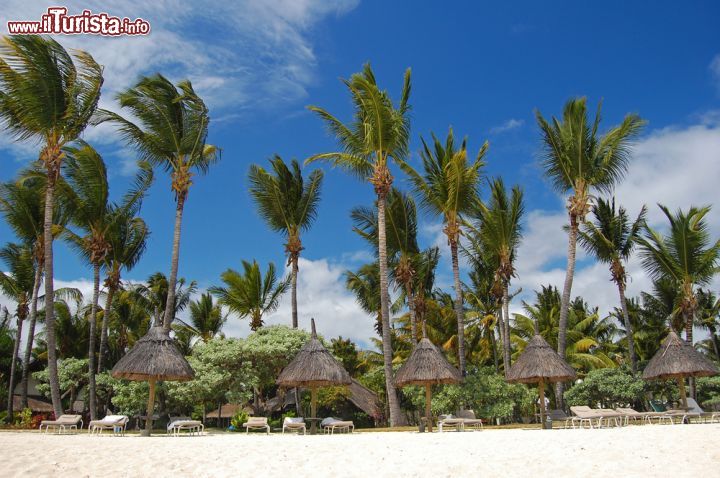 Immagine Paradise beach a Flic En Flac, isola di Mauritius - Cielo terso, palme e sabbia soffice e bianca per questa incantevole spiggia di Flic en Flac © Pawel Kazmierczak / Shutterstock.com