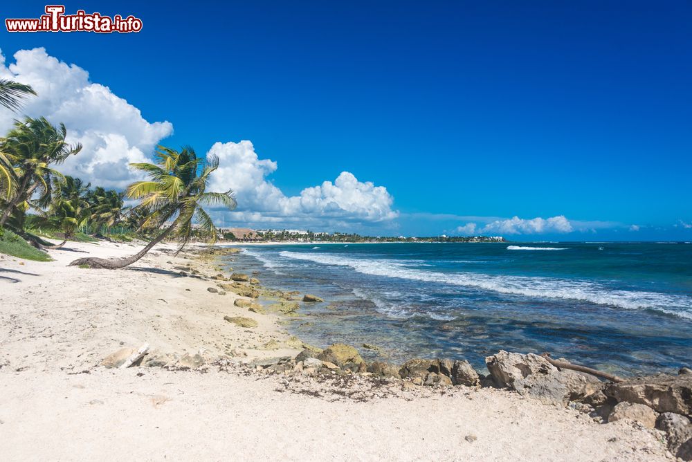 Immagine Paradiso caraibico nei pressi di Tulum, Akumal: una delle spiagge più belle di Quintana Roo, uno dei 31 stati del Messico situato nella parte orientale della penisola dello Yucatan.